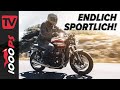 Weniger Retro, mehr Sport! - Triumph Speed Twin 2021 Test