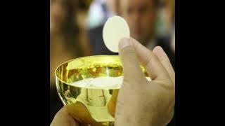 [INSTRUMEN ASLI] KARAOKE TANPA VOKAL DENGAN LIRIK LAGU DOA KOMUNI SPIRITUAL (DAMIAN ALMA)#lagukomuni