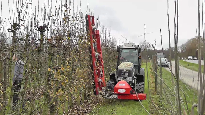 Fruit Tec - mechanical pruning with Edward