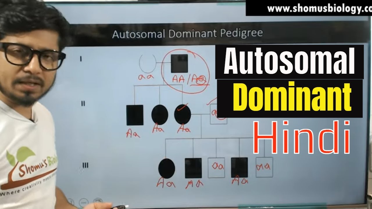 In Autosomal Dominant Inheritance Php Photoid