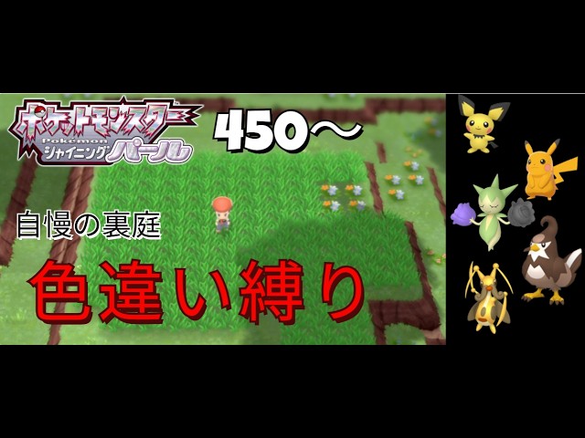図鑑埋め】「ピチュー・ピンプク・ピィ」持ちトレーナー紹介【ポケモン