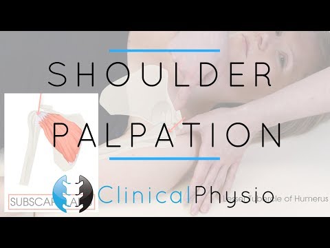 Shoulder Palpation |