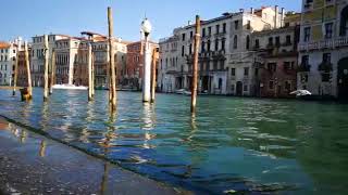 Волны на Гранд-канале Венеции плещутся о берег