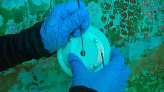 ASMR | Long Ear To Ear Cleaning - Exterior & Interior, 10+ Tools, Visual Tingles, Soft Spoken screenshot 2