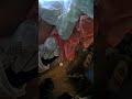 Father Says He Choked Him! #policeencounter #lawenforcement #police