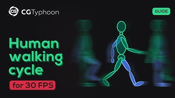 Human walking cycle for 30 fps #walkcycle #animation