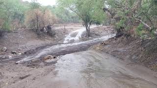 Telegraph Fire Burn Monsoon Flash Flood.