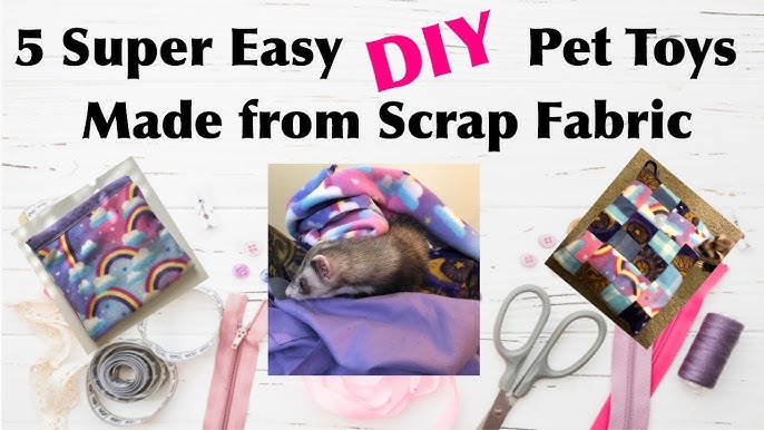 17 DIY dog toys you can make from items in your house -  Resources