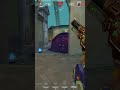 Gekko 4k Clutch with Champions Phantom.