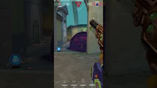 Gekko 4k Clutch with Champions Phantom.