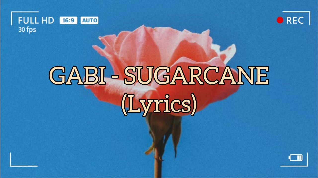 GABI SUGARCANE (LYRICS) YouTube