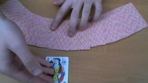 Si Stebbins Trick.wmv