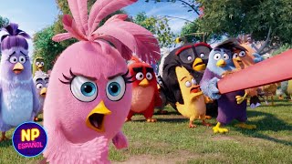 Mantén Alas, Patas Y Pico Dentro De La Resortera... Angry Birds La Película 2016 Now Español
