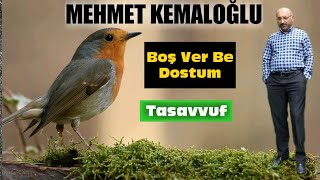 MEHMET KEMALOĞLU /Boş Ver Be Dostum (Tasavvuf) Resimi