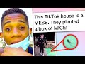 TikTok house "infested with rats" gets even WORSE? Owner speaks up.