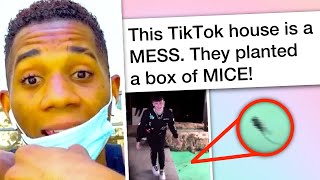 TikTok house &quot;infested with rats&quot; gets even WORSE? Owner speaks up.