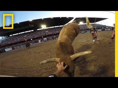 Rodeo Bullfighters Grab Life by the Horns | National Geographic