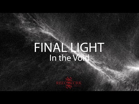 FINAL LIGHT (Perturbator x Johannes Persson) - In The Void