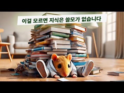 <strong>햄스터</strong> 피드: 부자들이 다르게 공부하는 이유
