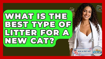 What Is The Best Type Of Litter For A New Cat? - Ask A Pet Vet