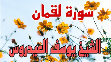 سورة لقمان كاملة بصوت خاشع يوسف العيدروس