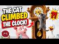 Hickory Dickory Dock Song | Meow, Quack & Oink Along! Super Simple Song | Nursery || EduFam