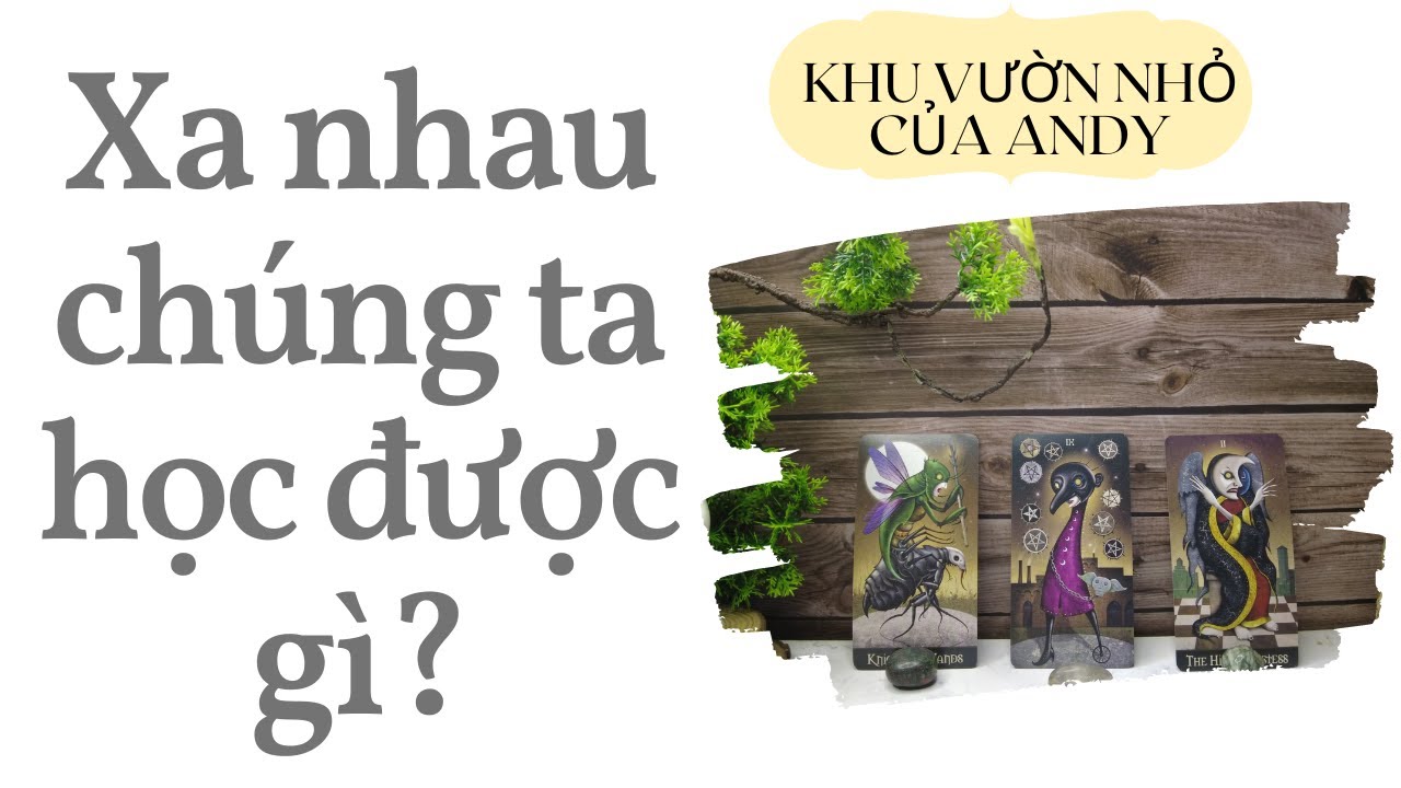 Xa nhau chúng ta học được gì? {Tạm dừng/Đã chia tay}  | Chọn 1 tụ bài | Xem tarot