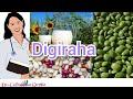 Faaiidoyinka Cafimaad Ee Digiraha Iyo Afar Xanuun Oo Ay Ka Hortagaan 