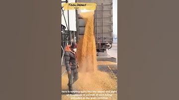 Unloading 50 Tons of Corn! 🌽✨