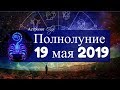 Мощное ПОЛНОЛУНИЕ в СКОРПИОНЕ 19 мая 2019. Астролог Olga