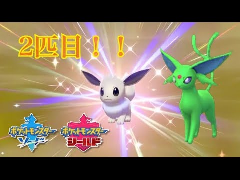 ポケモン剣盾 2匹目の色違いイーブイ出ちゃったよ Youtube