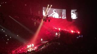 Queen 19