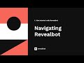 2. Navigating Revealbot