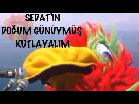 İyi ki Doğdun SEDAT :) 2. KOMİK DOĞUM GÜNÜ MESAJI 🎂 *ABİDİN KUKLA*