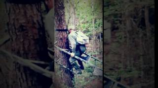 King-Stand Climbing Tree Stand