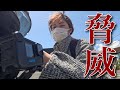 【脅威】怖すぎるって、、、