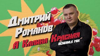 Дмитрий Романов - А калина красная (Benvinls mix)