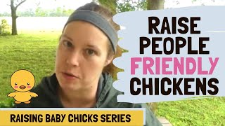Raise People Friendly Chickens With These Tips