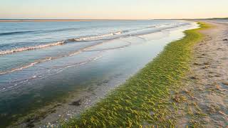 Discover the Tranquil Beauty of a Lagoon Paradise - Natural Soundscapes