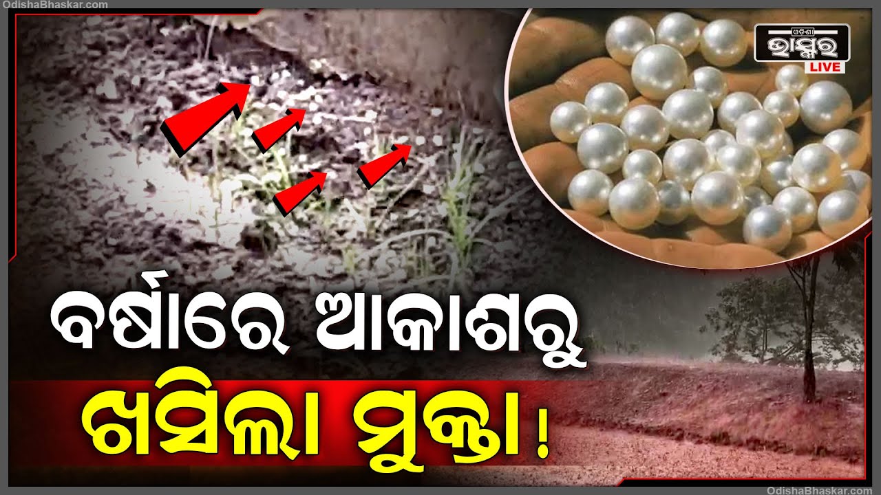 ଅଚାନକ ବର୍ଷା ବେଳେ ଆକାଶରୁ ଖସିଲା...! ଯାହାକୁ ଦେଖିଲେ ଏକ ପ୍ରକାର ଭ୍ରମ ମନରେ ସୃଷ୍ଟି ହେଉଛି..