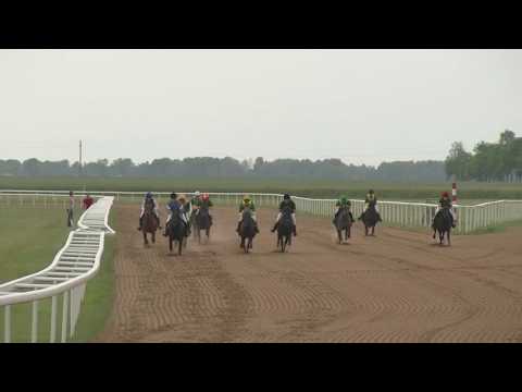 Video: Adajevo Arklių Veislės Hipoalerginė, Sveikatos Ir Gyvenimo Trukmė