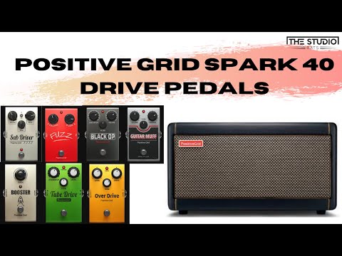 Positive Grid Spark