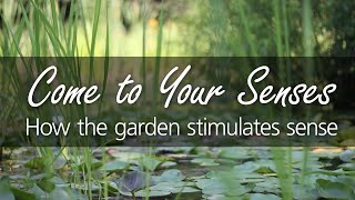 Virtual Tour: Come To Your Senses