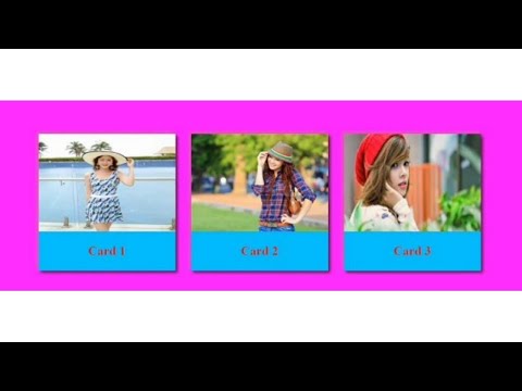 Box Hover Effect in HTML CSS With Source code | Box With Hover Effect CSS | 2022