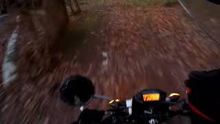 Mit Der Honda Msx 125Er Im Wald Motorrad Vlog 1
