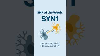 The gene that supports brain communication #functionalmedicine #brainhealth #genetics