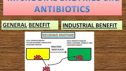 SSC-MICROBIAL ENZYMES & ANTIBIOTICS -INTRODUCTION TO MICROBIOLOGY-STD 10-SCIENCE 2-NEW SYLLABUS 2018