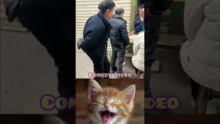 very nice 🙂👍 #viralvideo #funny #funny #cat #duet #viralvideo #60fps #3d