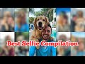 The best dog selfie compilation