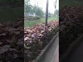 super video #nature #greenery #gardenview #naturelovers #beautifulnature #landscape #parkview
